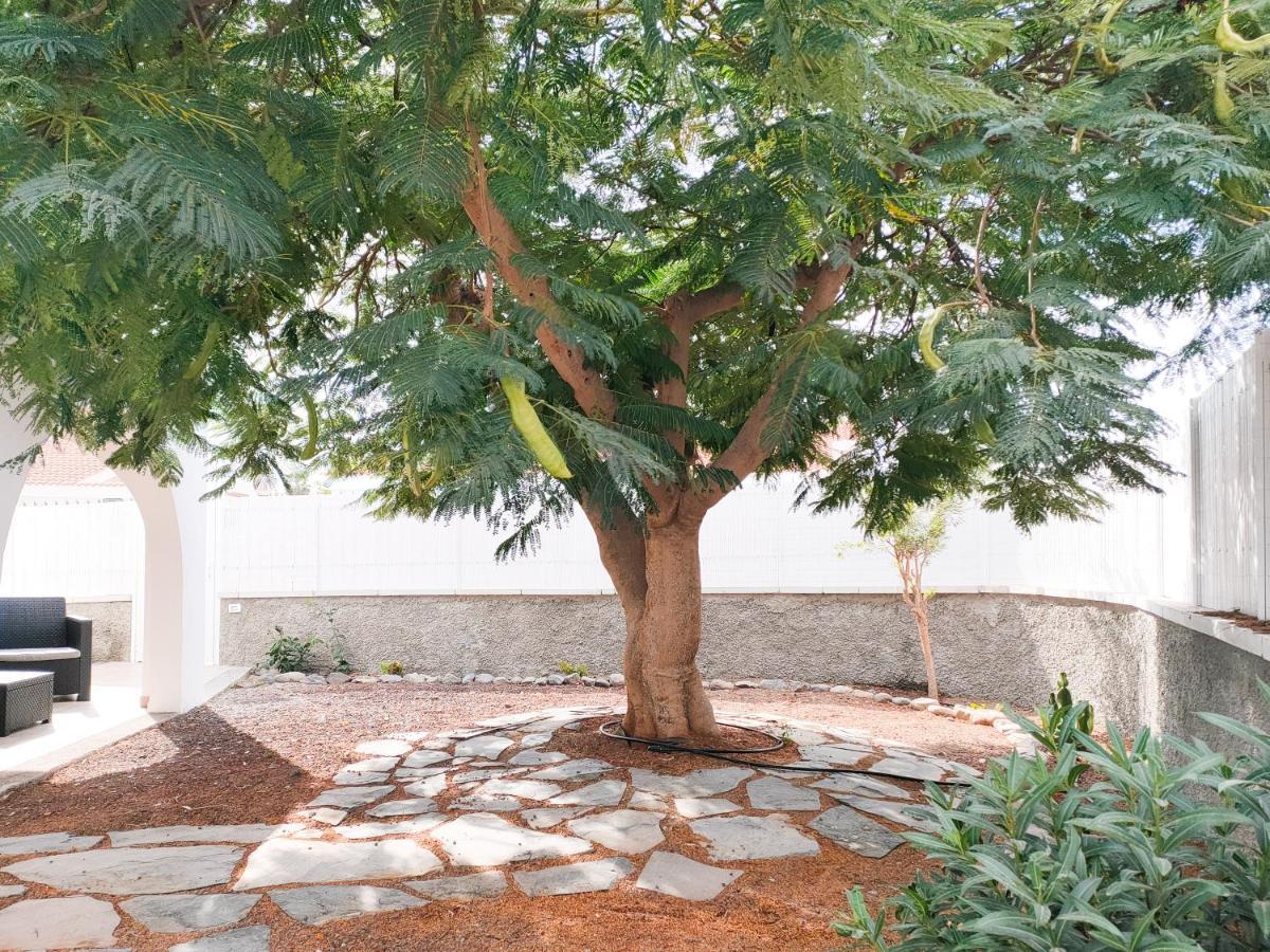 Pretty Terrace Holiday House In Maspalomas Playa del Ingles  Exterior photo
